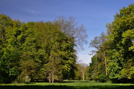 Forêt-Ernolsheim-sur-Bruche