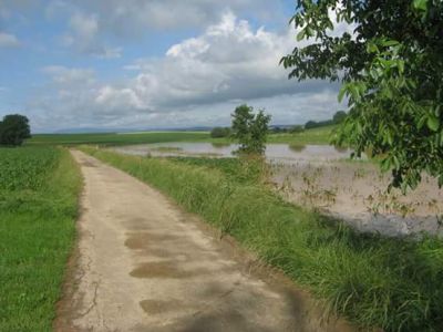 inondation & boue Pfulgriesheim