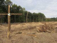 Terre de désolation sur les 8ha amputée sur la forêt du Krittwald à Vendenheim