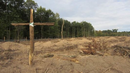 Terre de désolation sur les 8ha amputée sur la forêt du Krittwald à Vendenheim