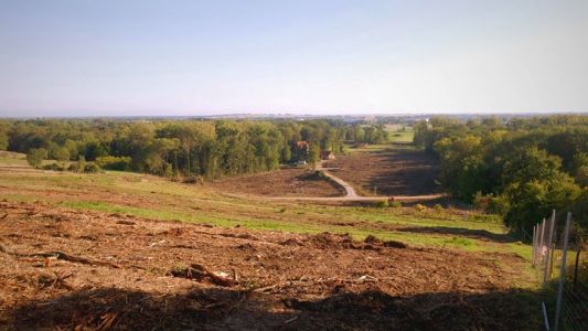 La forêt de Kolbsheim a perdu de sa quiétude...