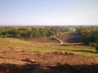 La forêt de Kolbsheim a perdu de sa quiétude...